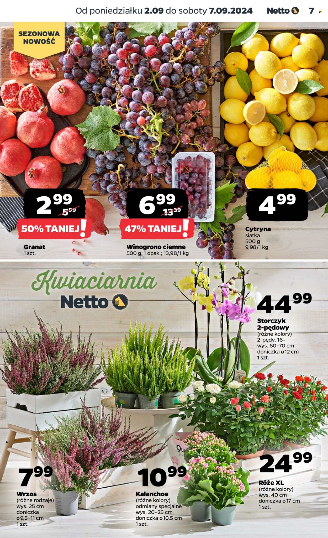 Gazetka Netto - 2.09.2024 - 7.09.2024. Strona 7