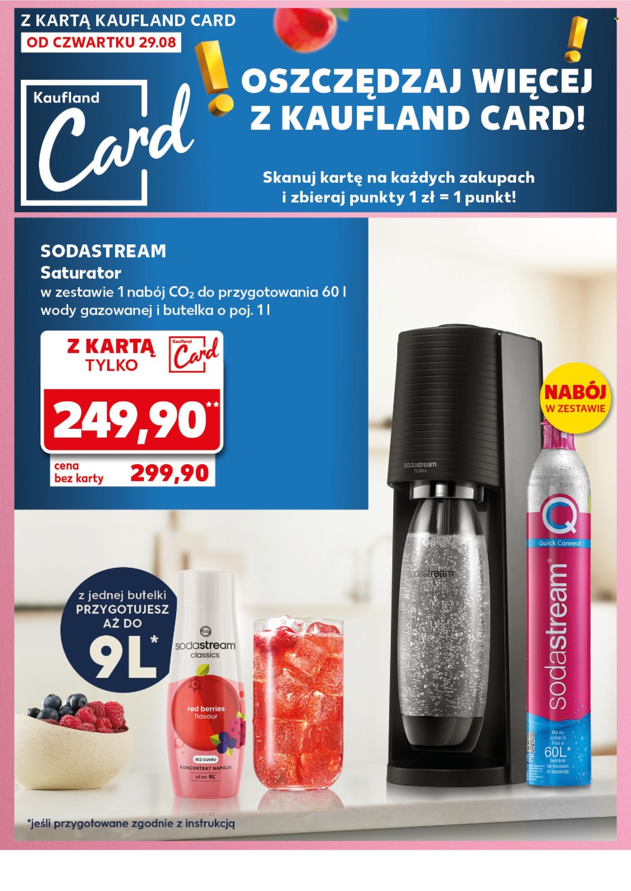 Gazetka Kaufland - 29.08.2024 - 4.09.2024. Strona 6