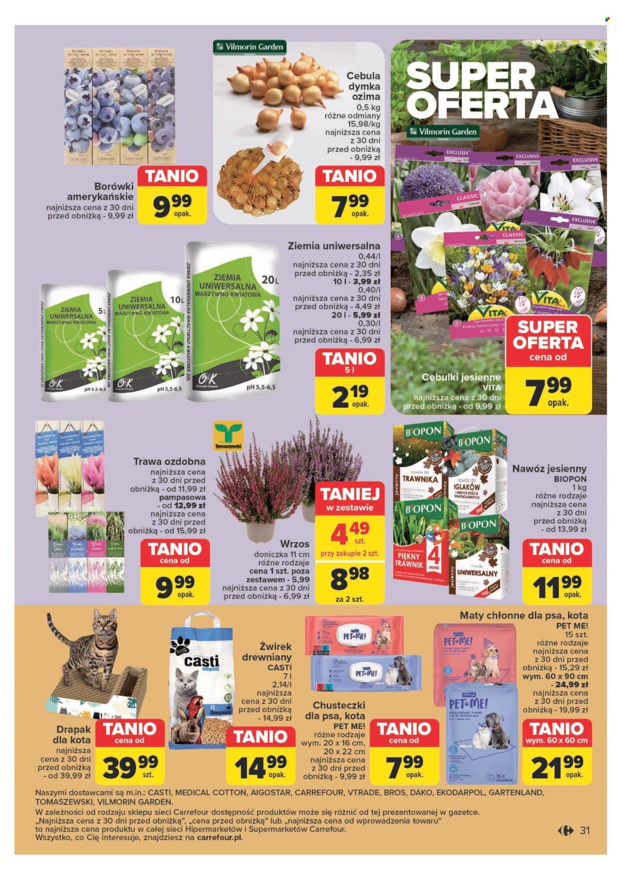 Gazetka Carrefour - 3.09.2024 - 7.09.2024. Strona 31