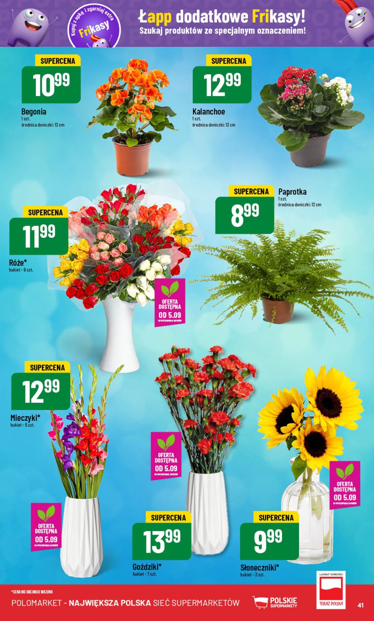 Gazetka Polomarket - 4.09.2024 - 10.09.2024. Strona 41