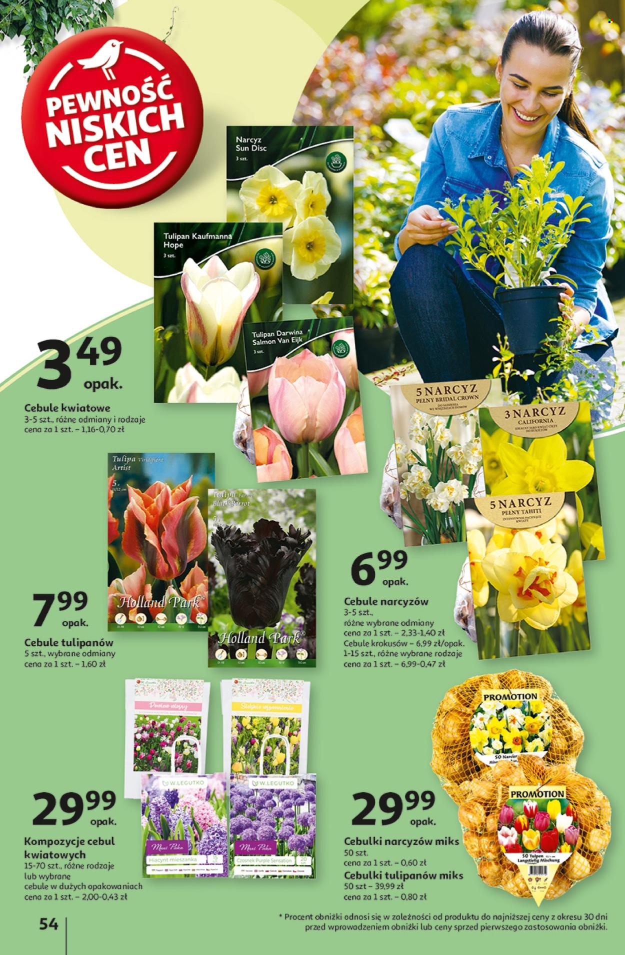 Gazetka Auchan - 5.09.2024 - 11.09.2024. Strona 62