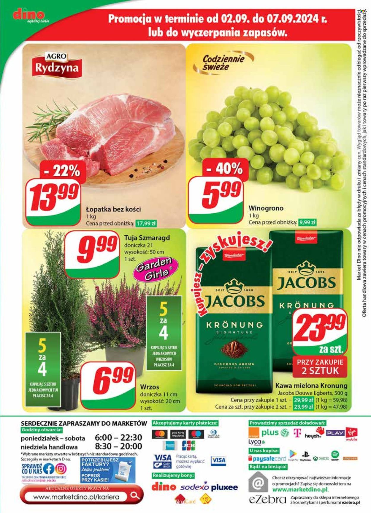 Gazetka Dino - 4.09.2024 - 10.09.2024. Strona 66