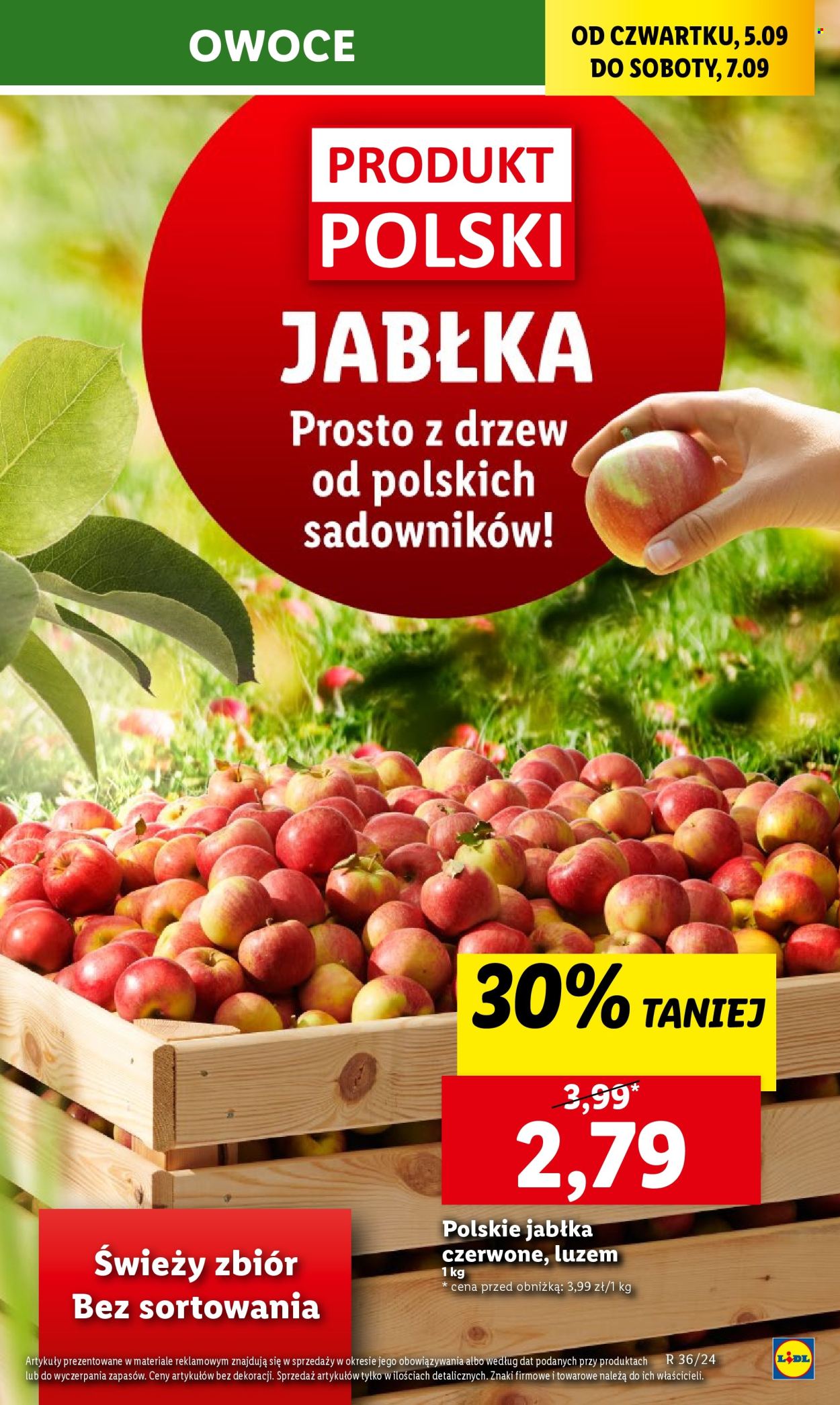 Gazetka Lidl - 5.09.2024 - 7.09.2024. Strona 21