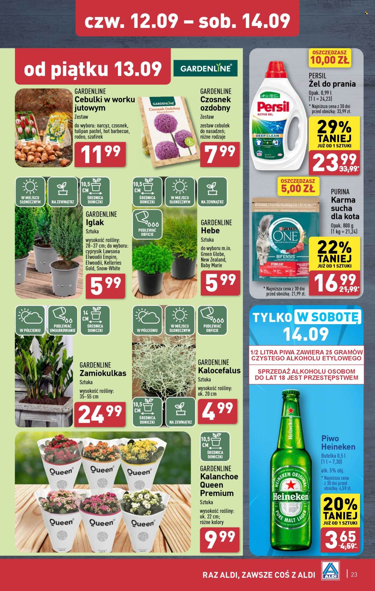 Gazetka ALDI - 9.09.2024 - 14.09.2024. Strona 23