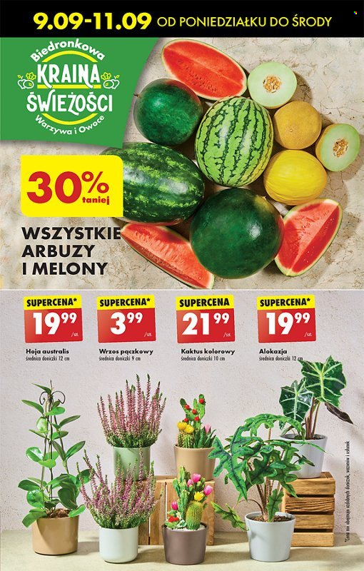 Gazetka Biedronka - 9.09.2024 - 14.09.2024. Strona 29