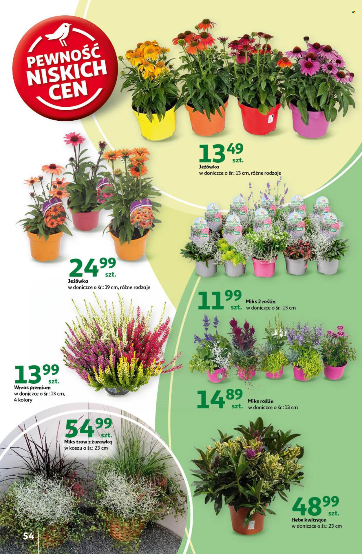 Gazetka Auchan - 12.09.2024 - 18.09.2024. Strona 54