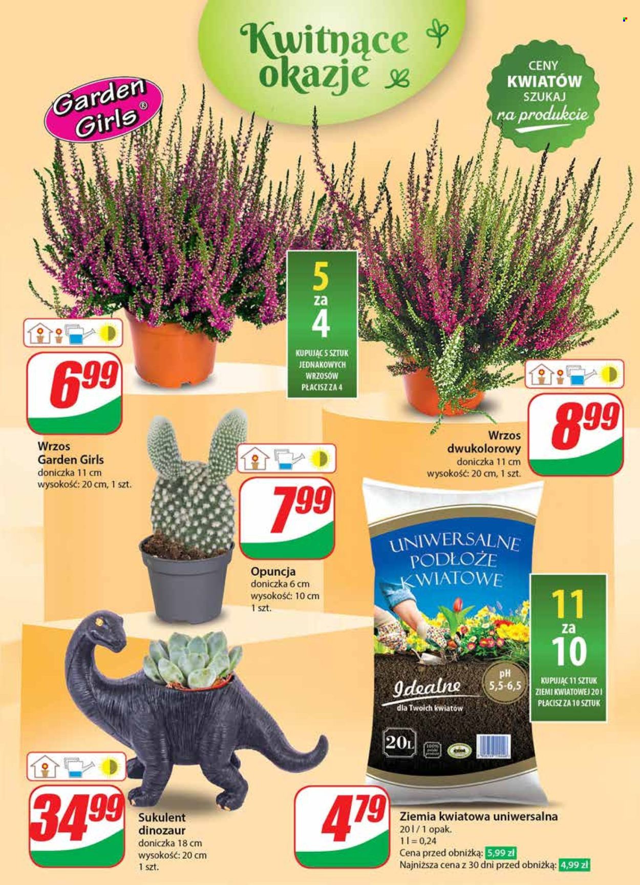 Gazetka Dino - 11.09.2024 - 17.09.2024. Strona 51