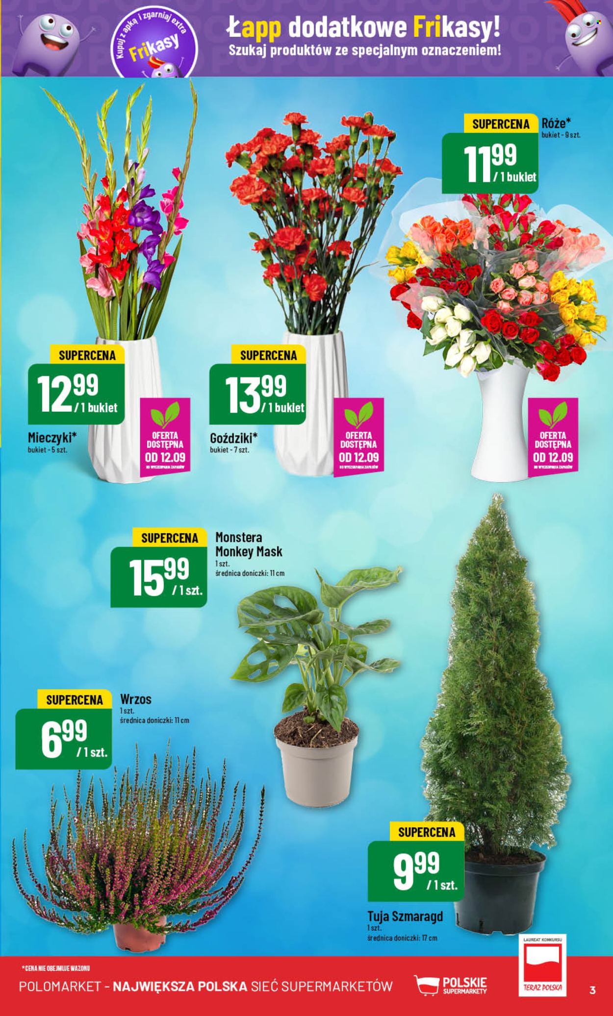 Gazetka Polomarket - 11.09.2024 - 17.09.2024. Strona 3