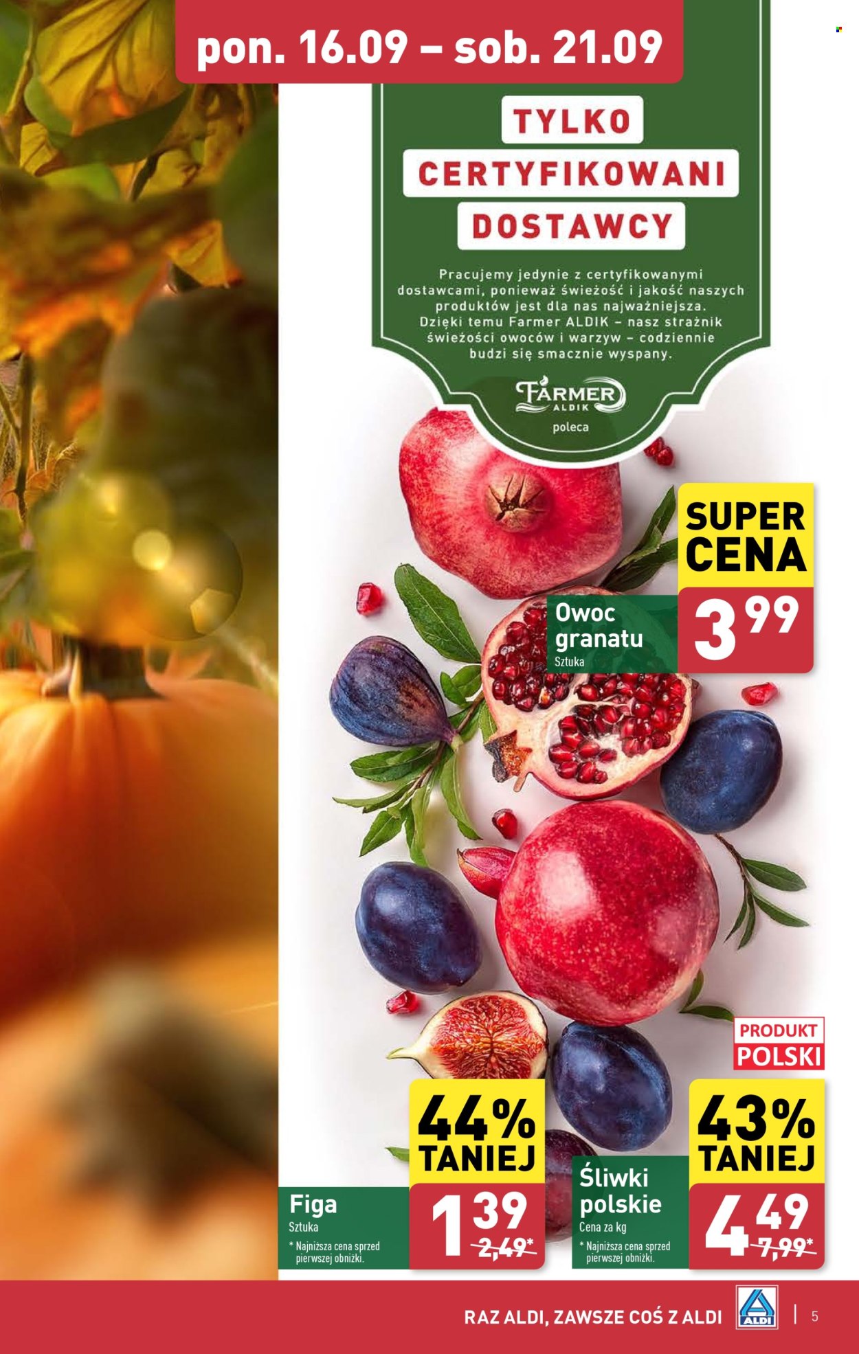 Gazetka ALDI - 16.09.2024 - 21.09.2024. Strona 5