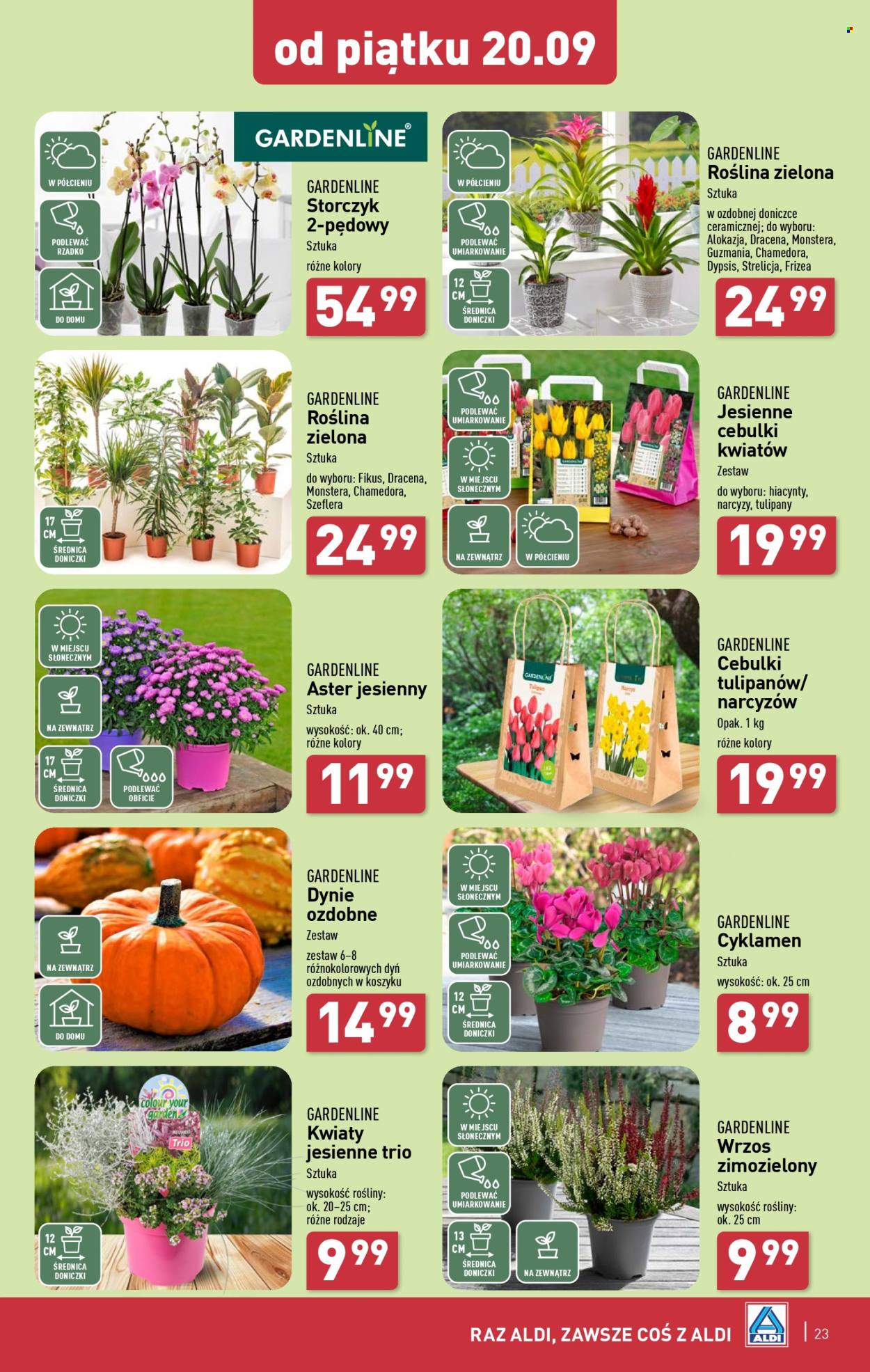 Gazetka ALDI - 16.09.2024 - 21.09.2024. Strona 23