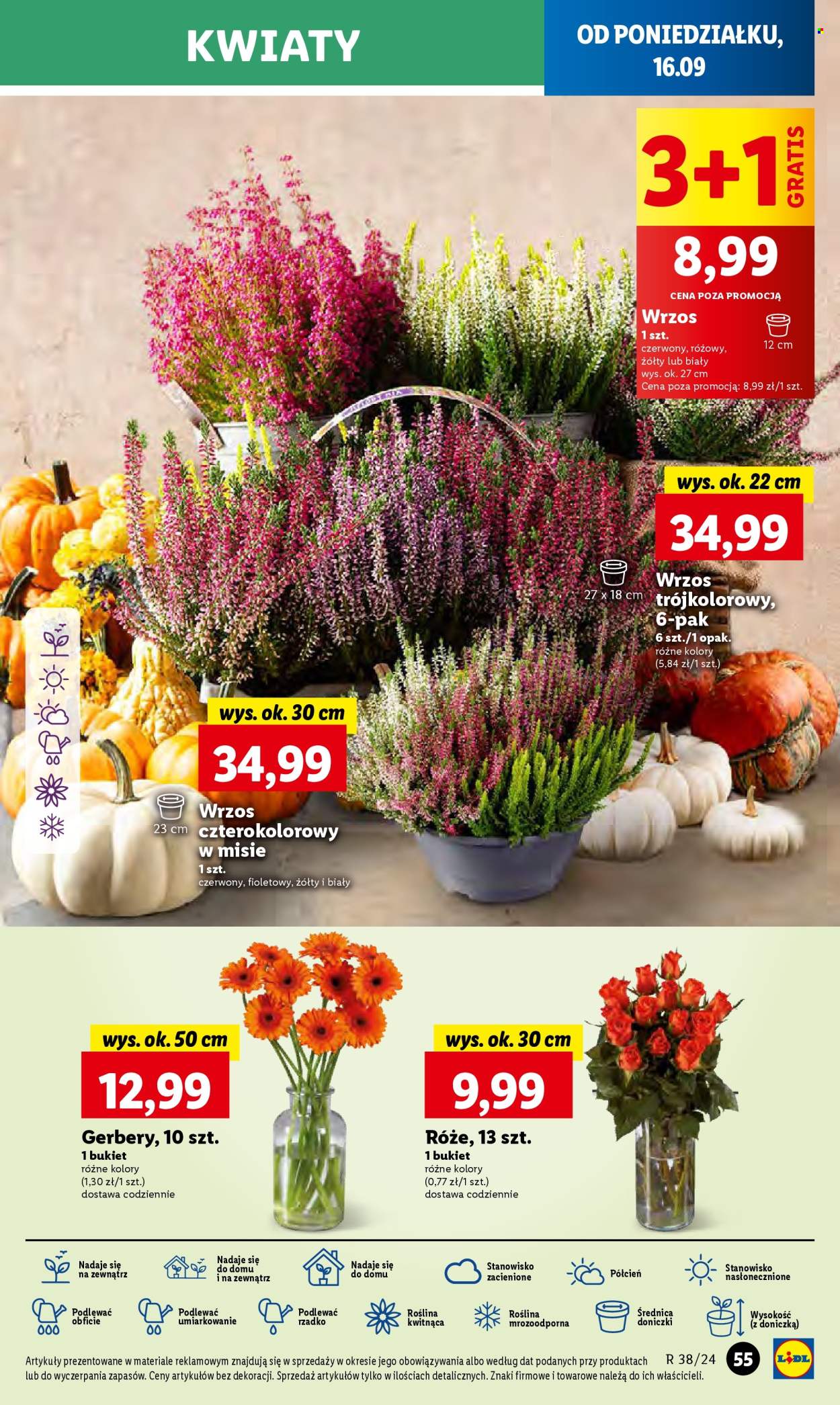 Gazetka Lidl - 16.09.2024 - 18.09.2024. Strona 61
