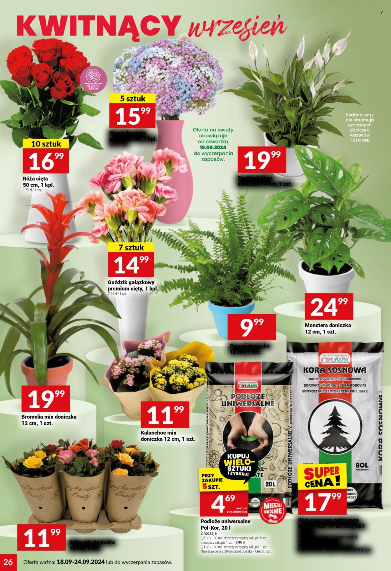 Gazetka Twój Market - 18.09.2024 - 24.09.2024. Strona 26