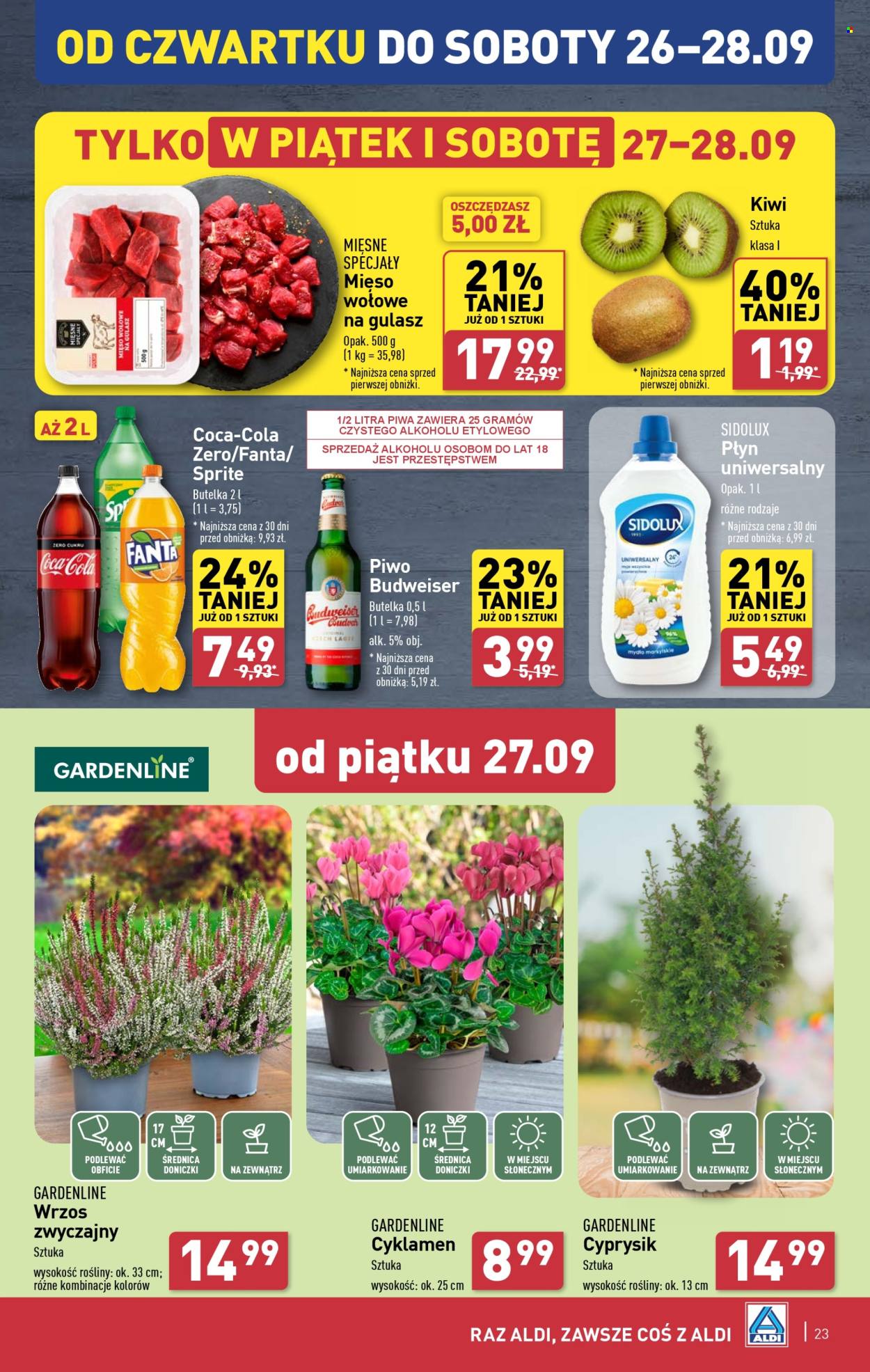 Gazetka ALDI - 23.09.2024 - 28.09.2024. Strona 23