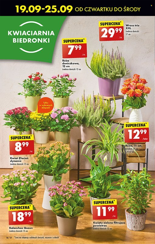 Gazetka Biedronka - 19.09.2024 - 25.09.2024. Strona 18