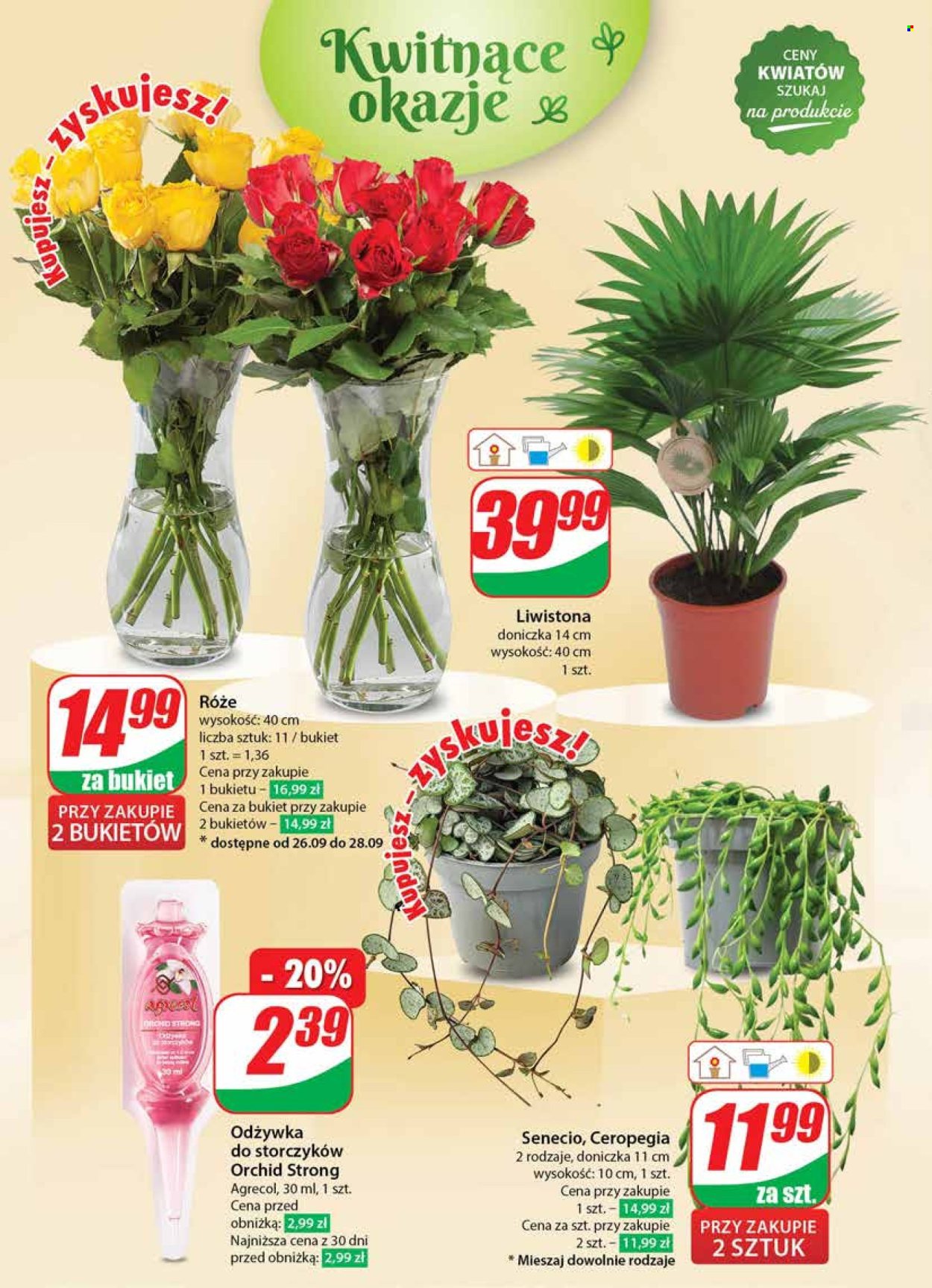 Gazetka Dino - 25.09.2024 - 1.10.2024. Strona 48