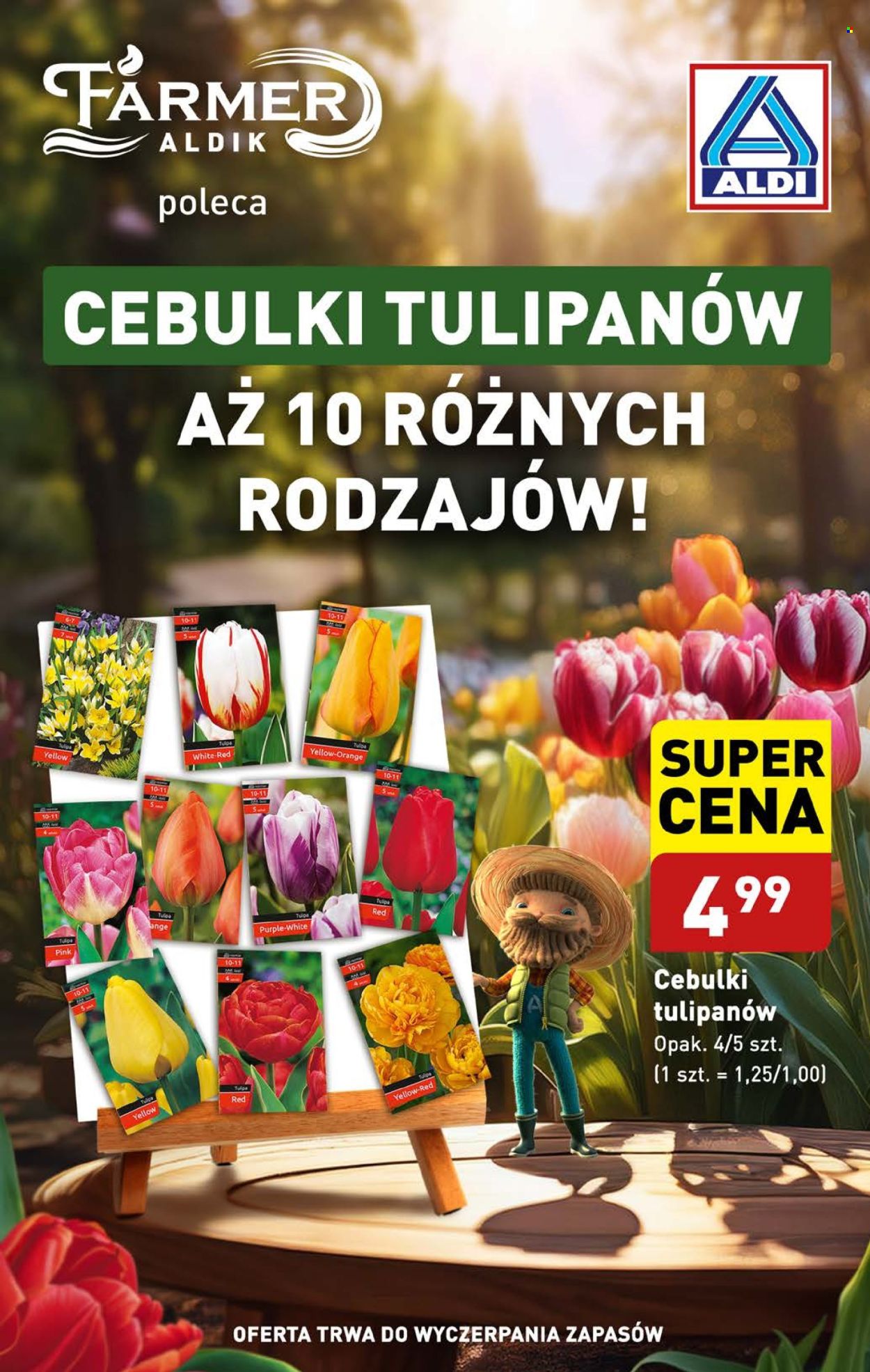 Gazetka ALDI - 30.09.2024 - 5.10.2024. Strona 41