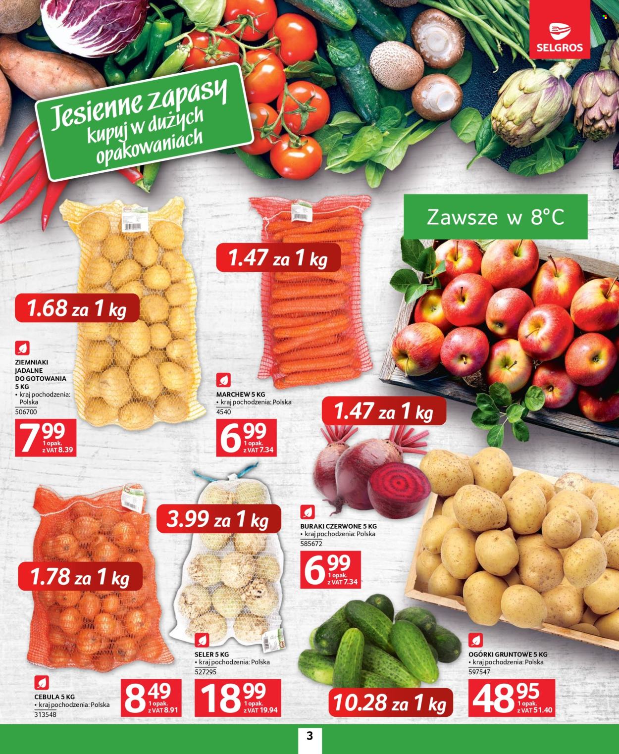 Gazetka Selgros - 26.09.2024 - 9.10.2024. Strona 3