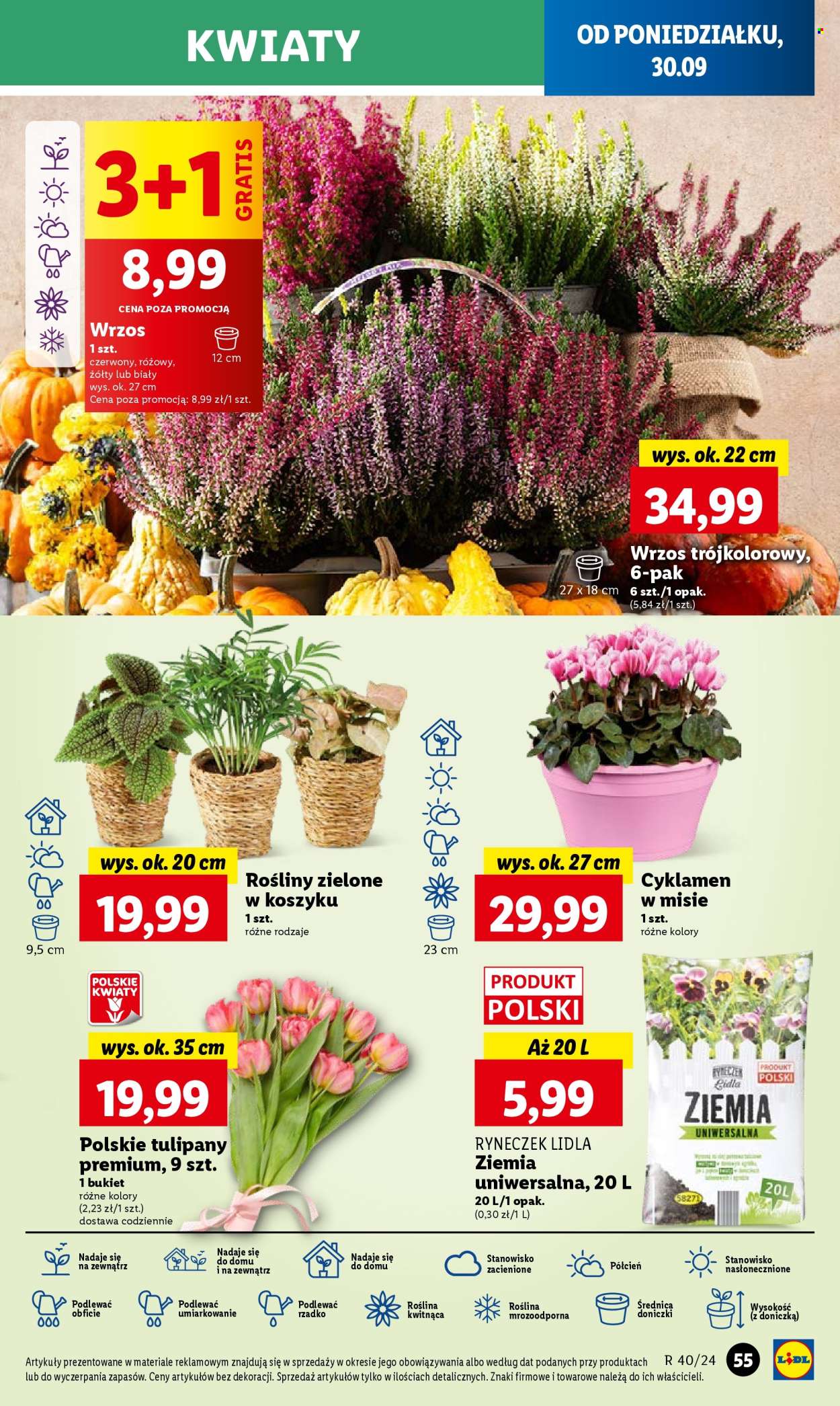 Gazetka Lidl - 30.09.2024 - 2.10.2024. Strona 61