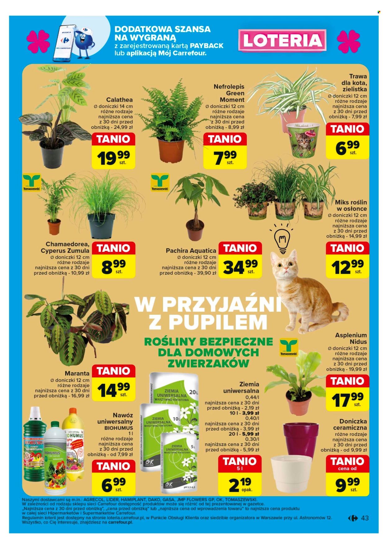 Gazetka Carrefour - 30.09.2024 - 5.10.2024. Strona 43