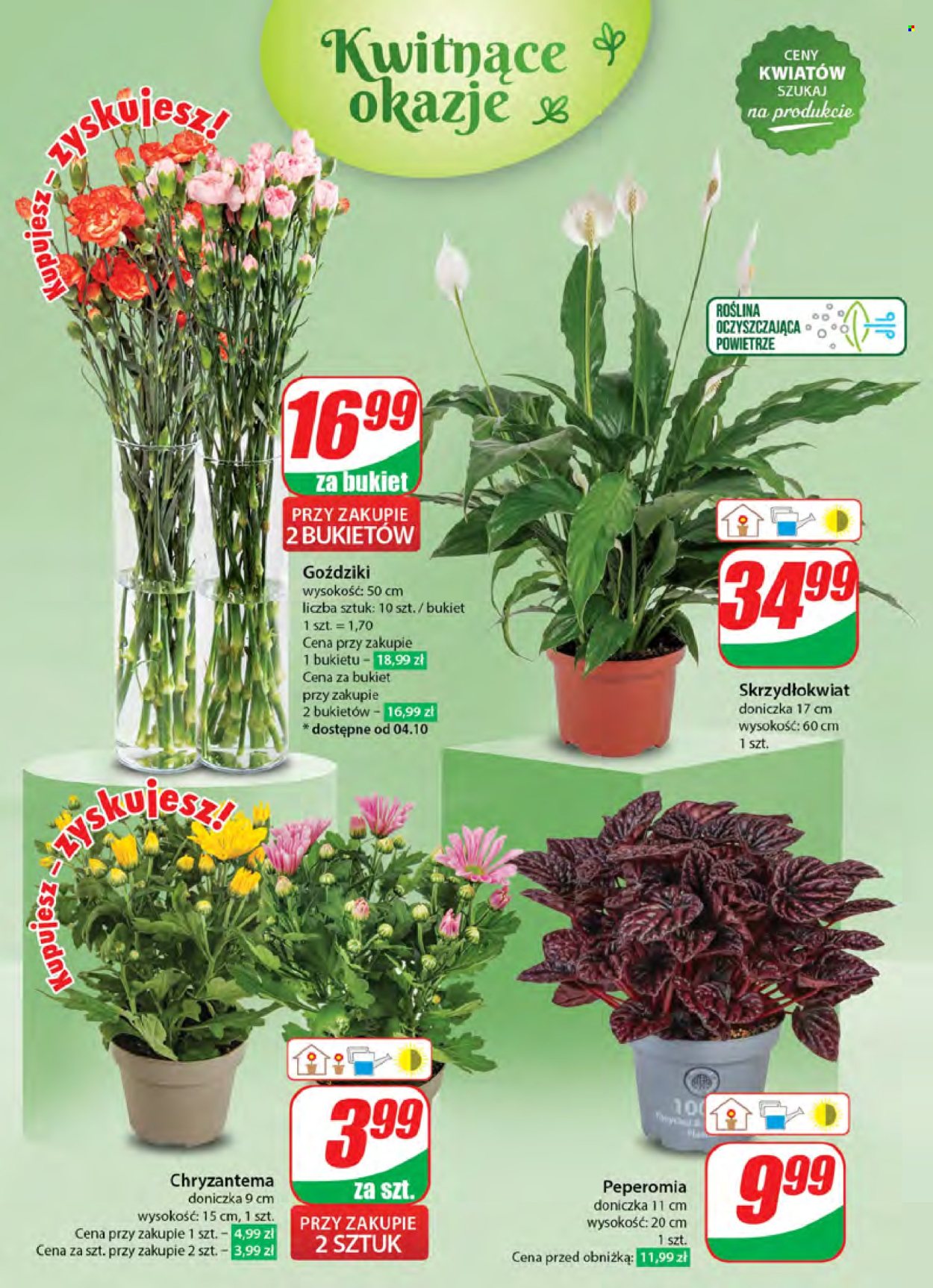 Gazetka Dino - 2.10.2024 - 8.10.2024. Strona 50
