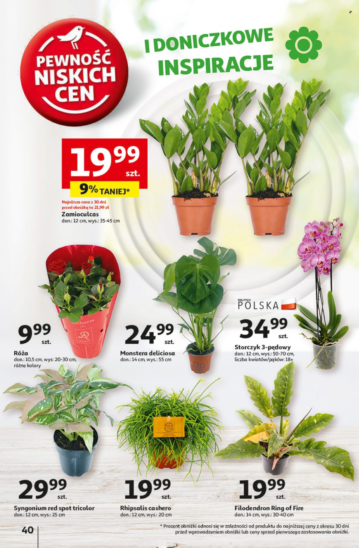 Gazetka Auchan - 3.10.2024 - 9.10.2024. Strona 48