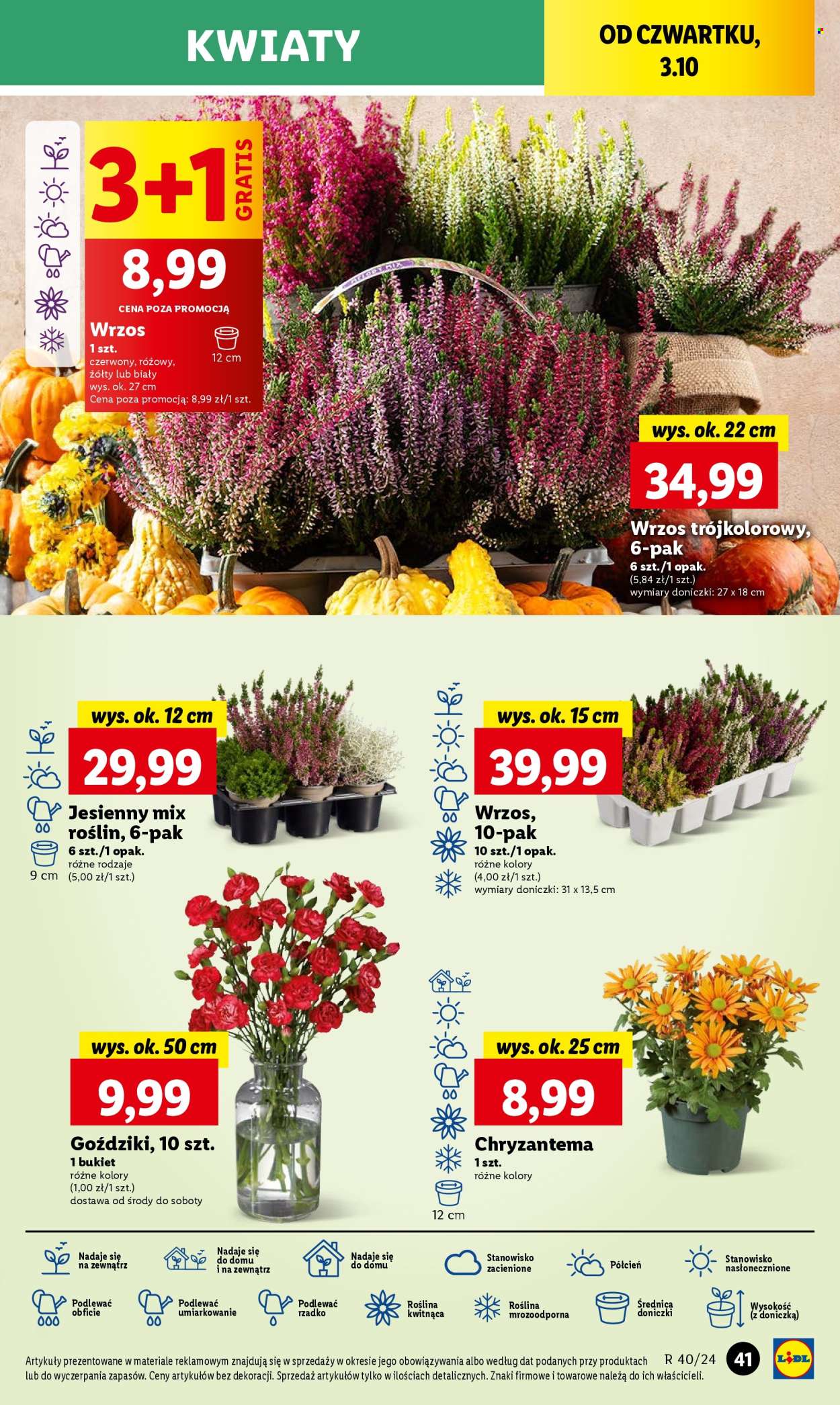 Gazetka Lidl - 3.10.2024 - 5.10.2024. Strona 55