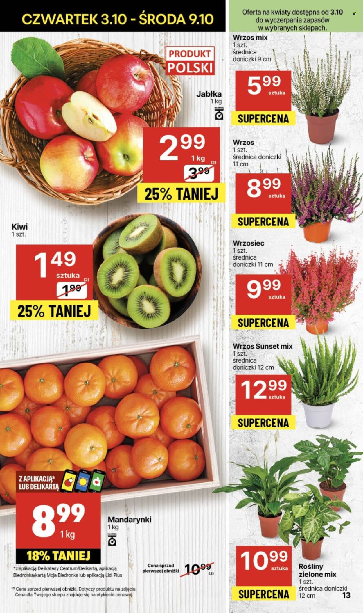 Gazetka Delikatesy Centrum - 3.10.2024 - 9.10.2024. Strona 13