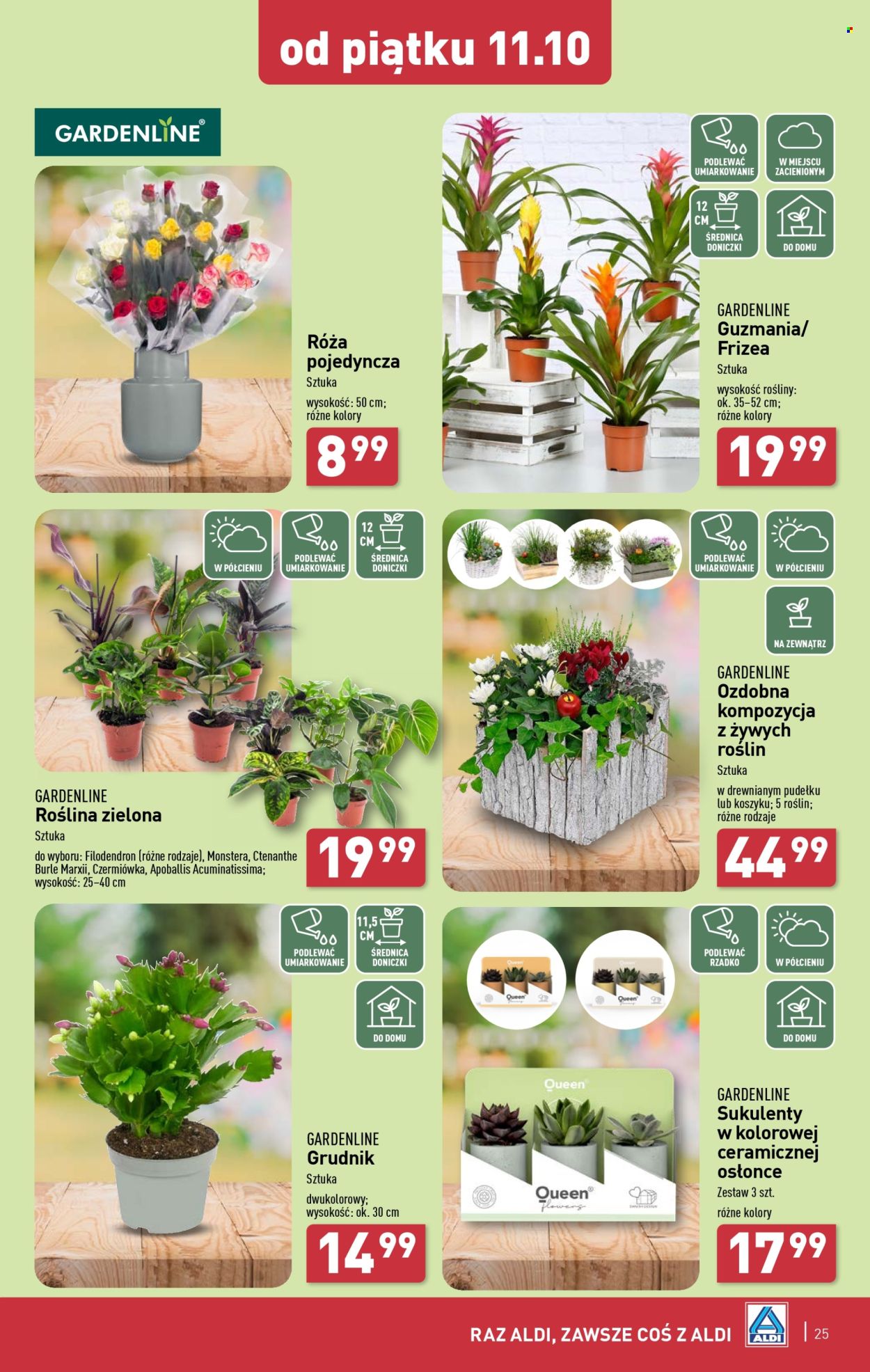 Gazetka ALDI - 7.10.2024 - 12.10.2024. Strona 25