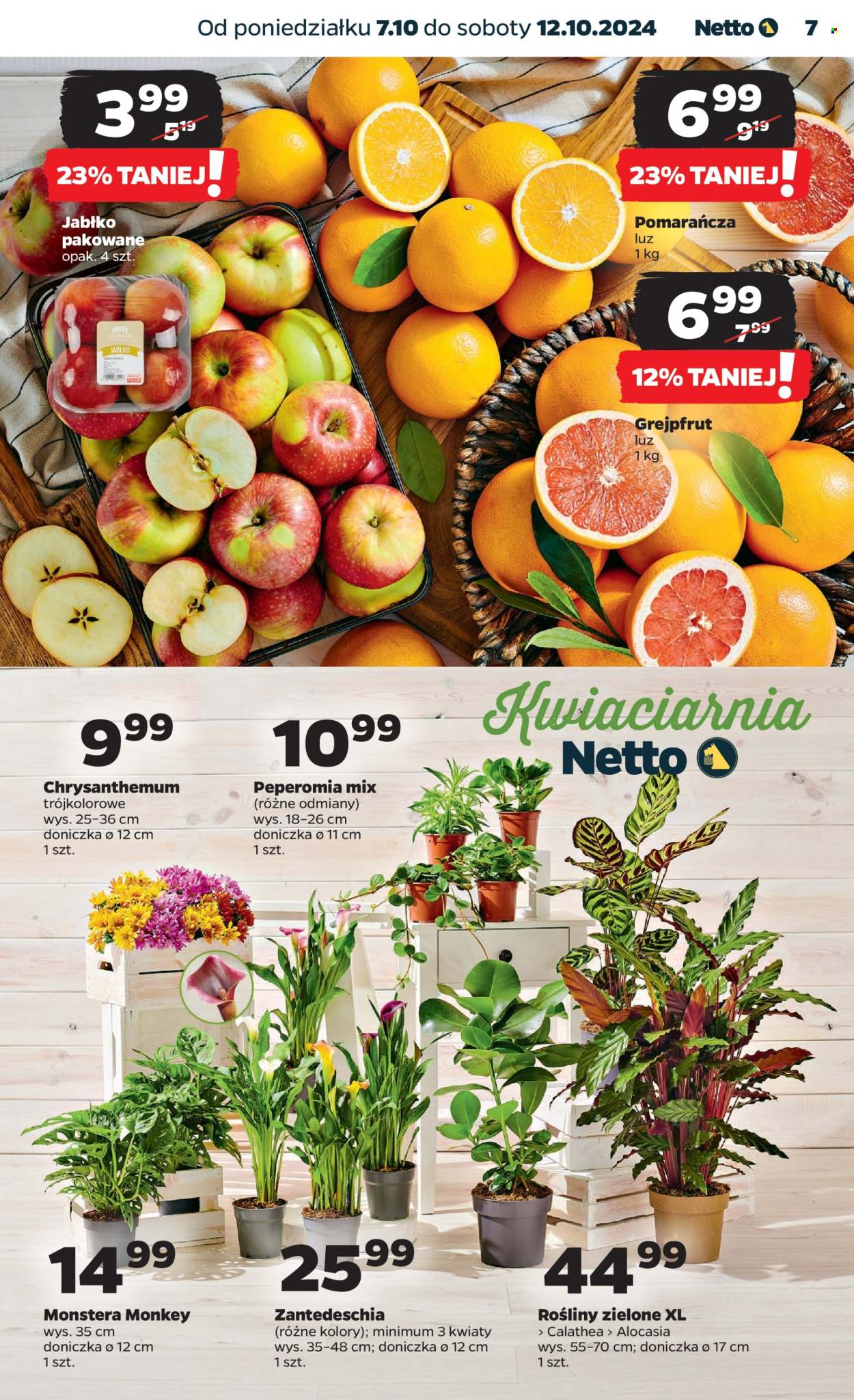 Gazetka Netto - 7.10.2024 - 12.10.2024. Strona 7
