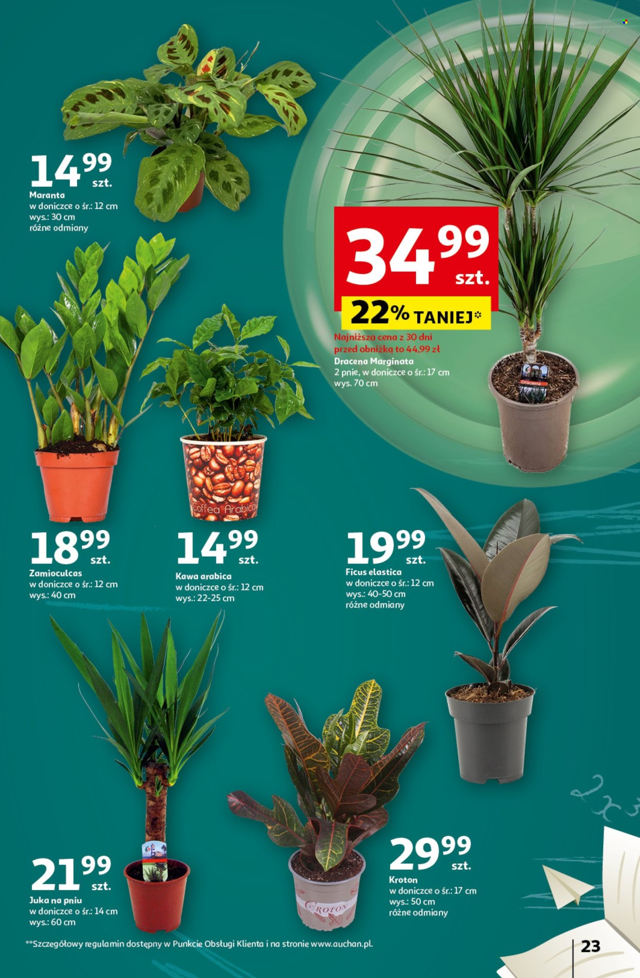 Gazetka Auchan - 10.10.2024 - 16.10.2024. Strona 25