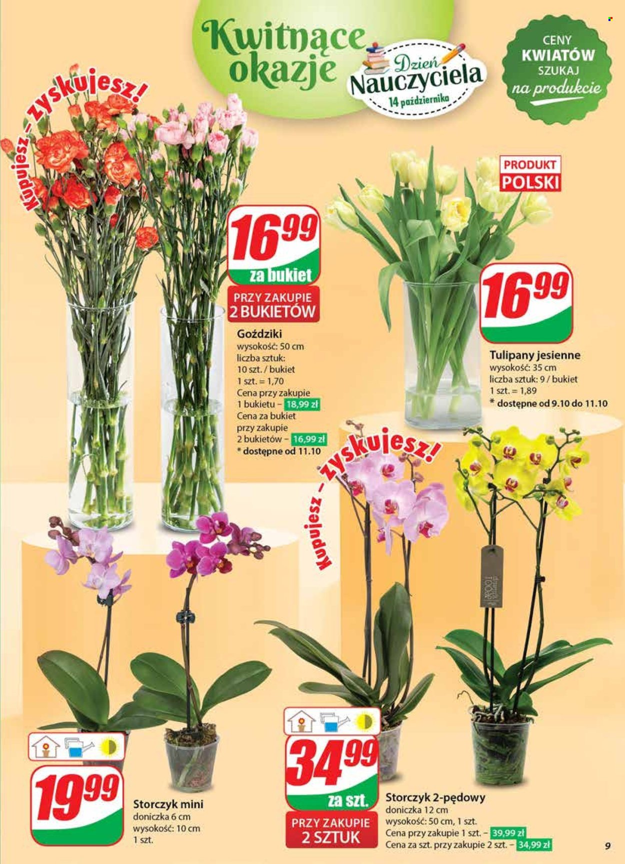 Gazetka Dino - 9.10.2024 - 15.10.2024. Strona 9