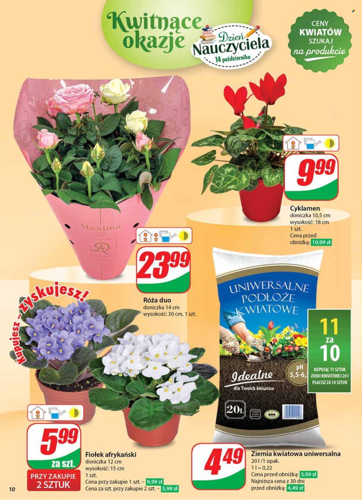 Gazetka Dino - 9.10.2024 - 15.10.2024. Strona 10