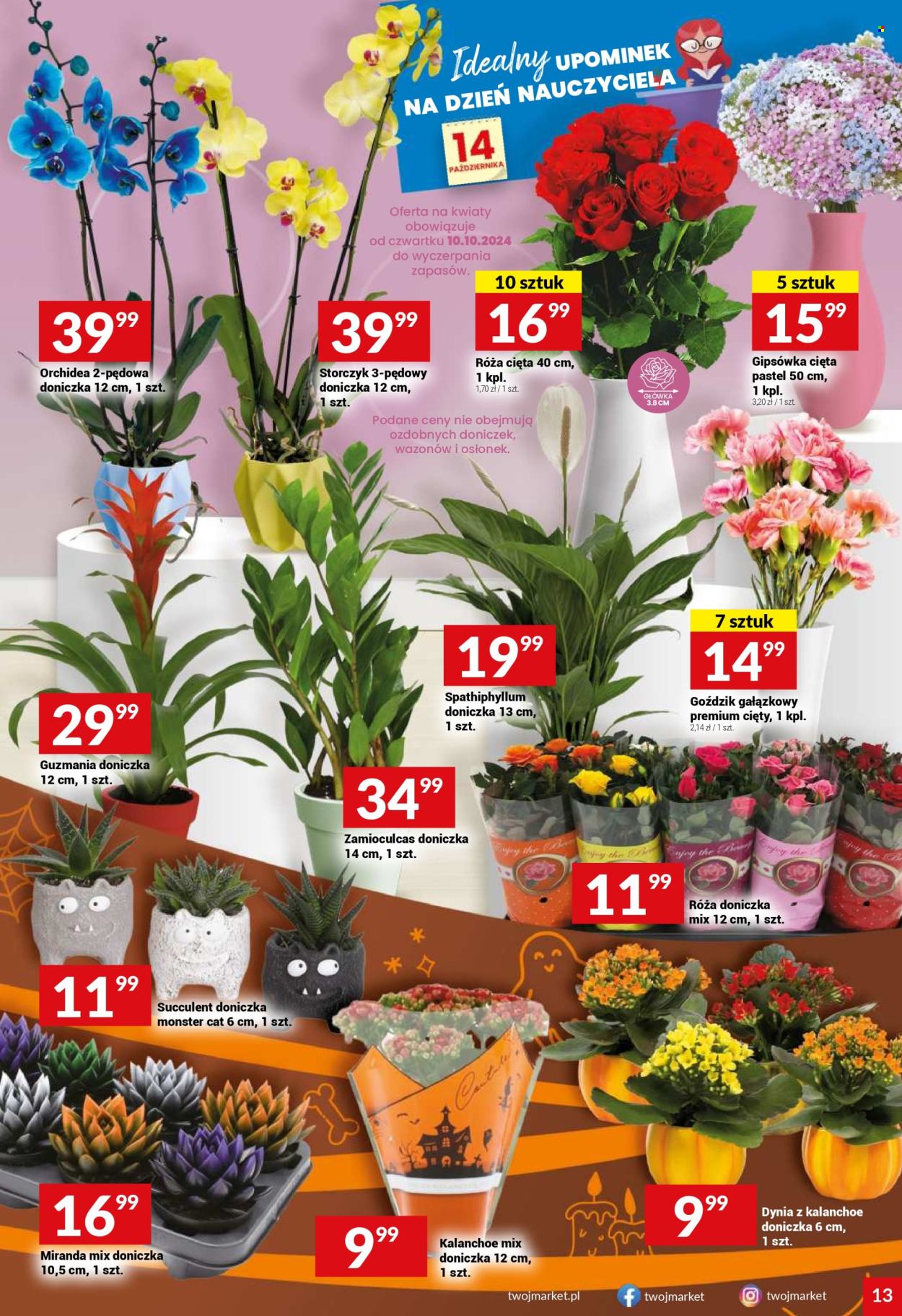 Gazetka Twój Market - 9.10.2024 - 15.10.2024. Strona 13