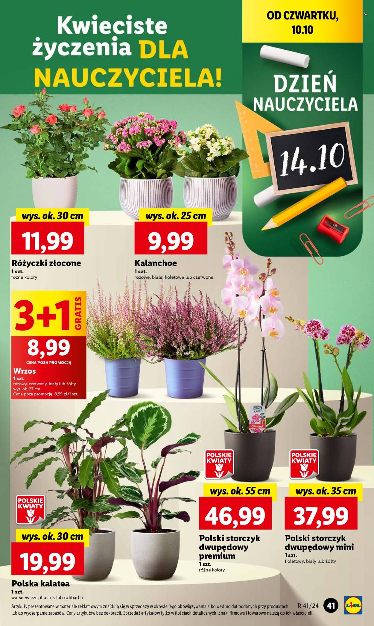 Gazetka Lidl - 10.10.2024 - 12.10.2024. Strona 47