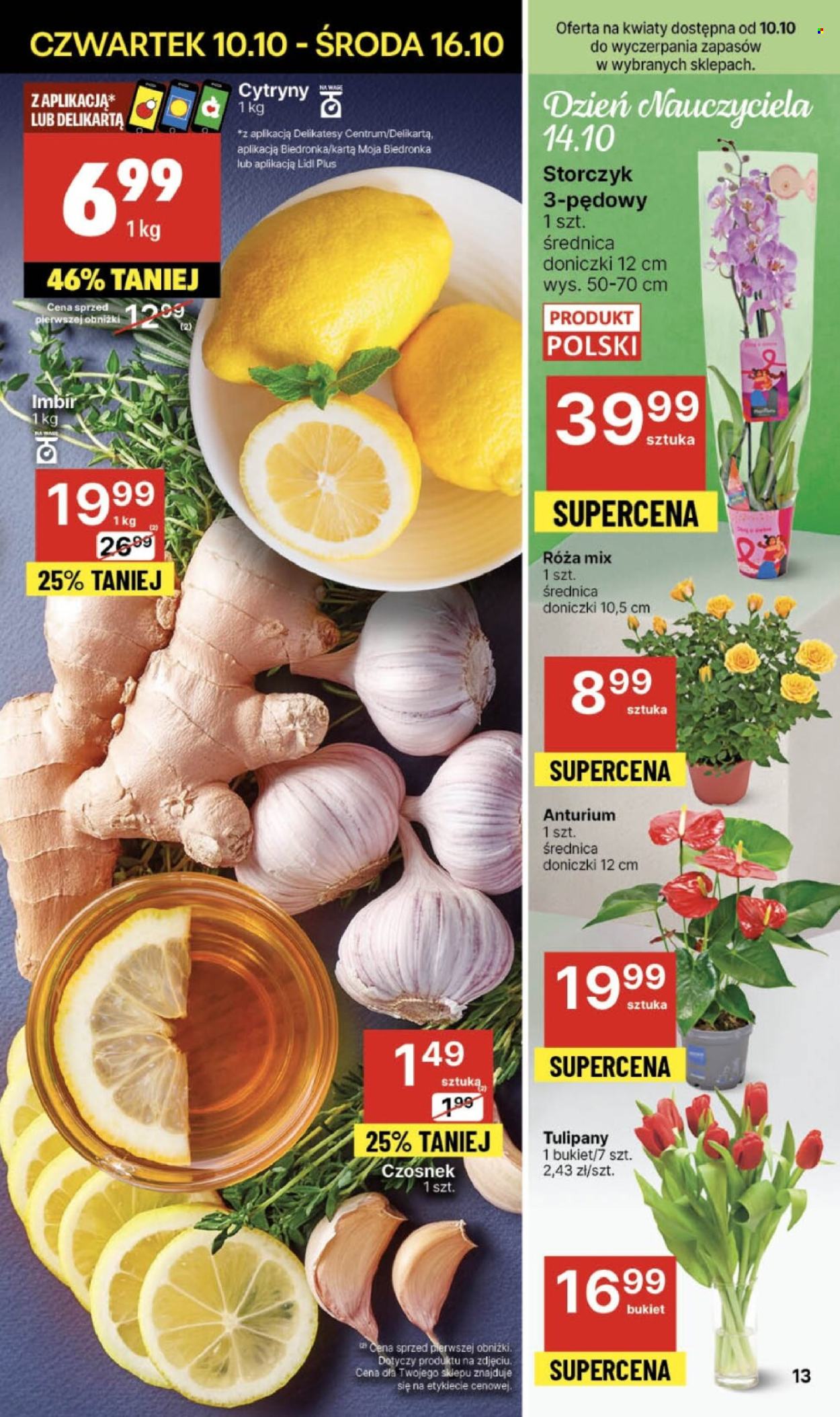 Gazetka Delikatesy Centrum - 10.10.2024 - 16.10.2024. Strona 13