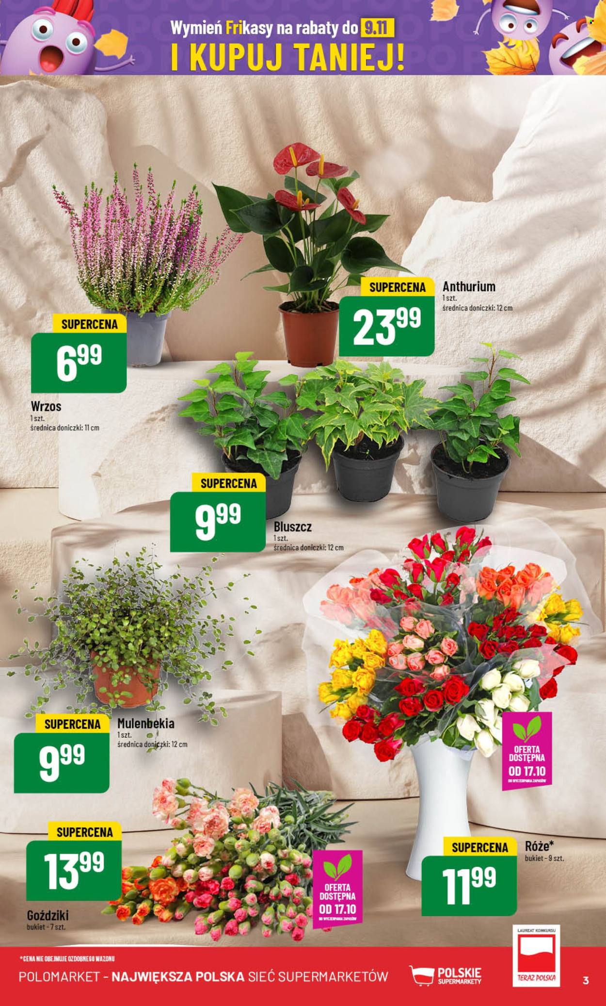 Gazetka Polomarket - 16.10.2024 - 22.10.2024. Strona 3