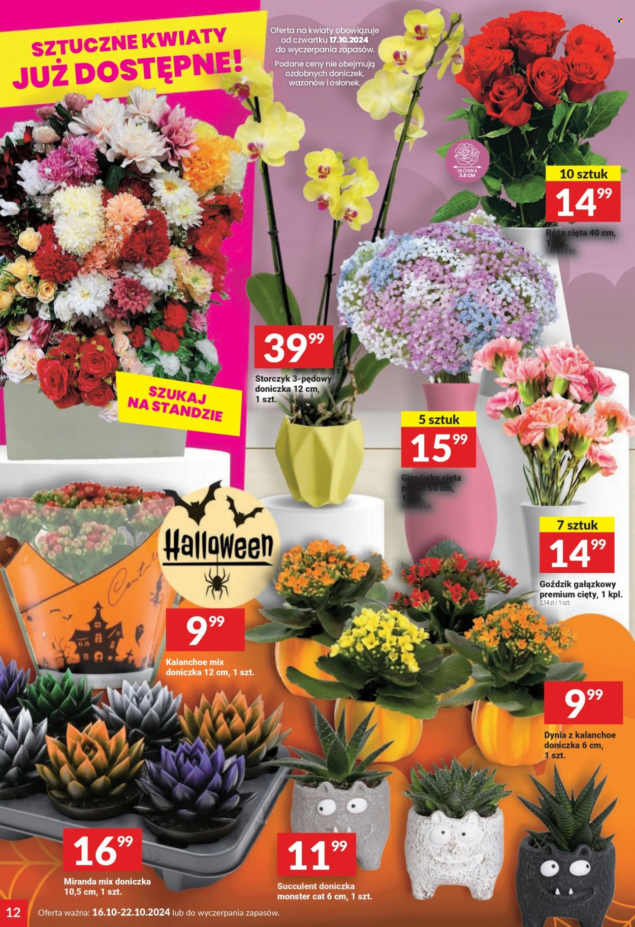 Gazetka Twój Market - 16.10.2024 - 22.10.2024. Strona 12