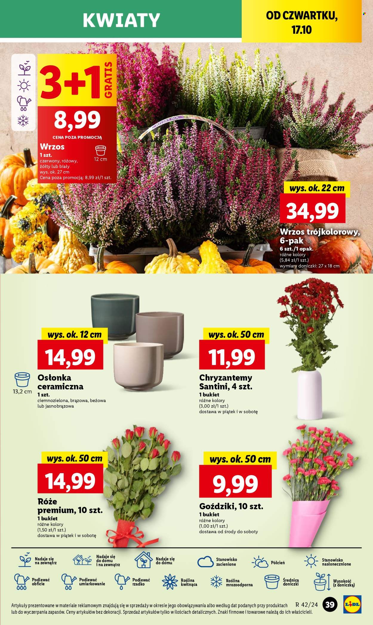 Gazetka Lidl - 17.10.2024 - 19.10.2024. Strona 47
