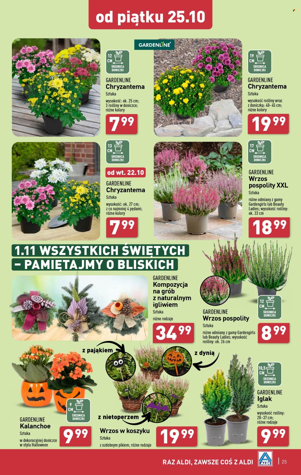 Gazetka ALDI - 21.10.2024 - 26.10.2024. Strona 25