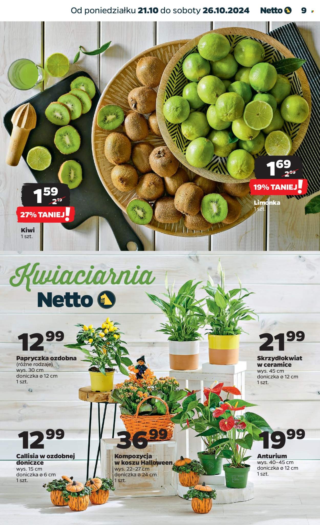 Gazetka Netto - 21.10.2024 - 26.10.2024. Strona 9