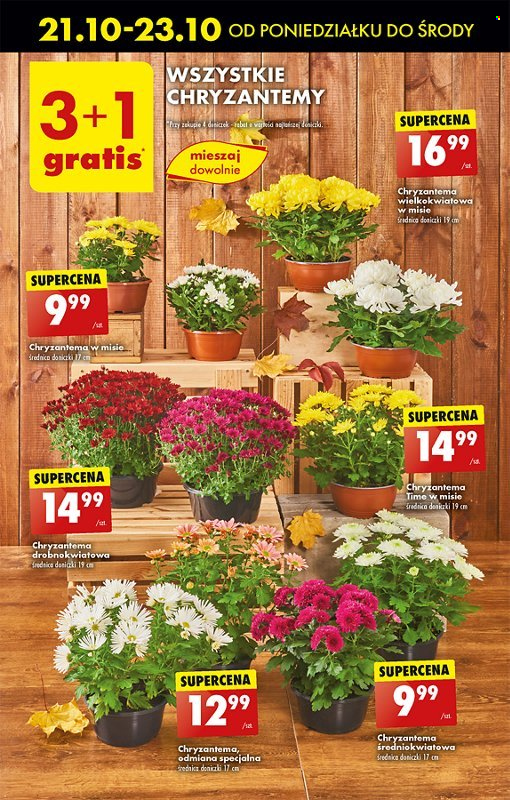 Gazetka Biedronka - 21.10.2024 - 26.10.2024. Strona 15