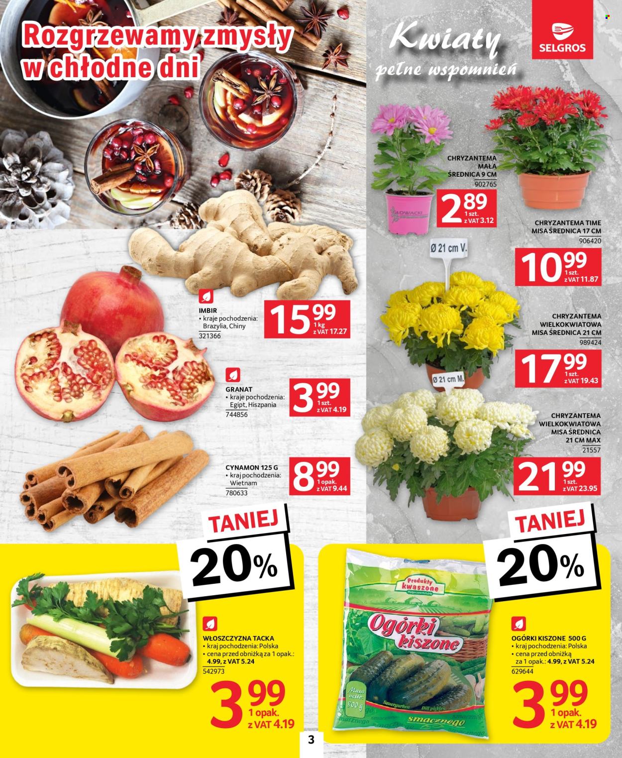 Gazetka Selgros - 24.10.2024 - 6.11.2024. Strona 3