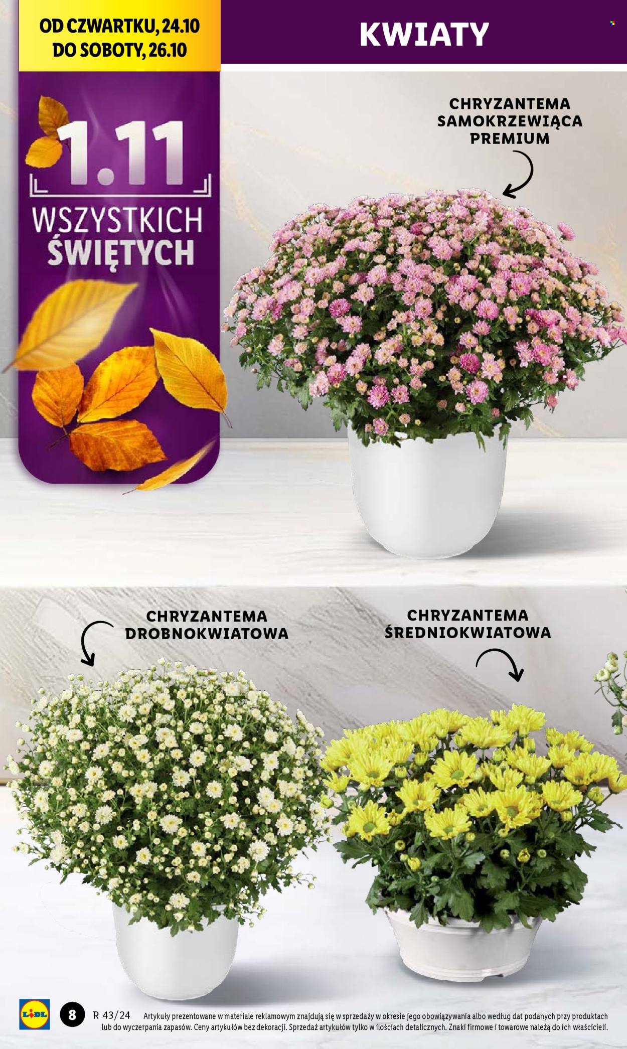 Gazetka Lidl - 24.10.2024 - 26.10.2024. Strona 8
