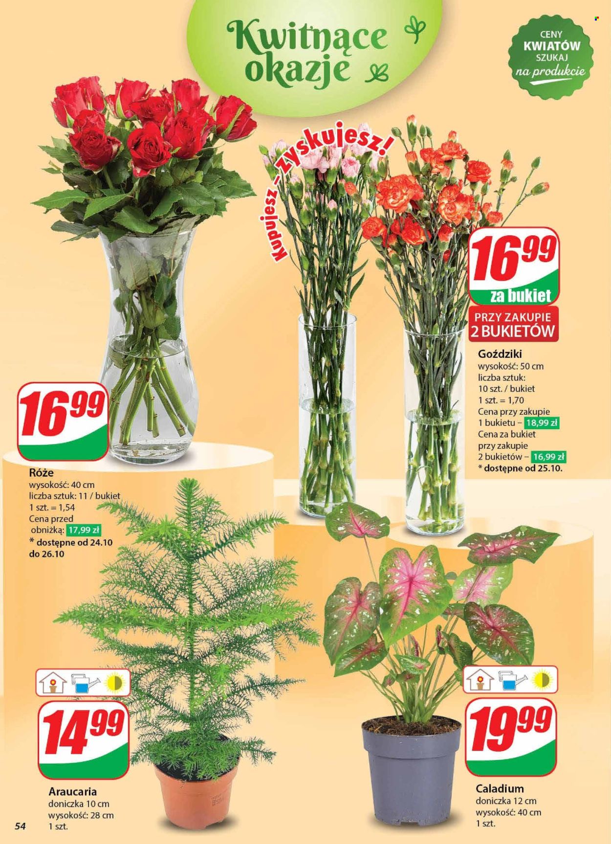 Gazetka Dino - 23.10.2024 - 29.10.2024. Strona 54