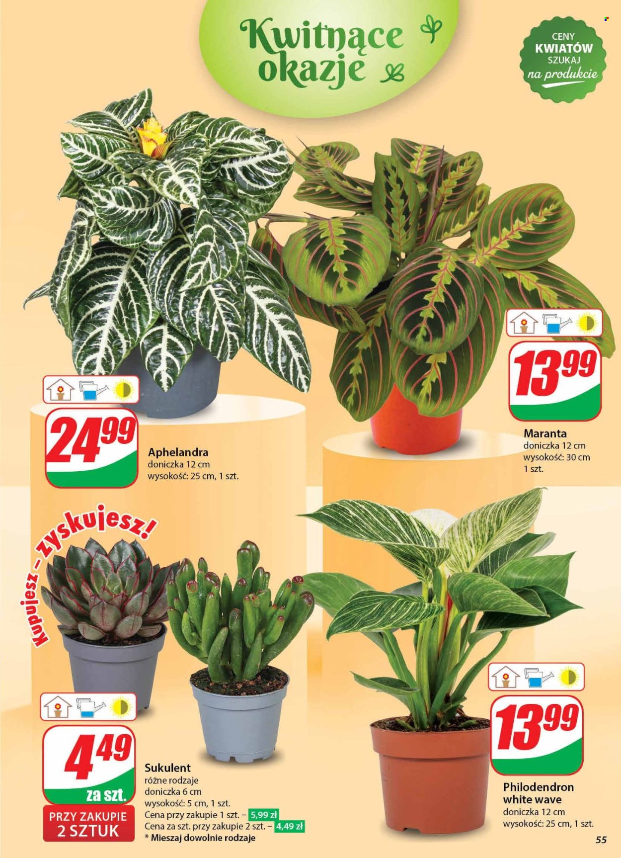 Gazetka Dino - 23.10.2024 - 29.10.2024. Strona 55
