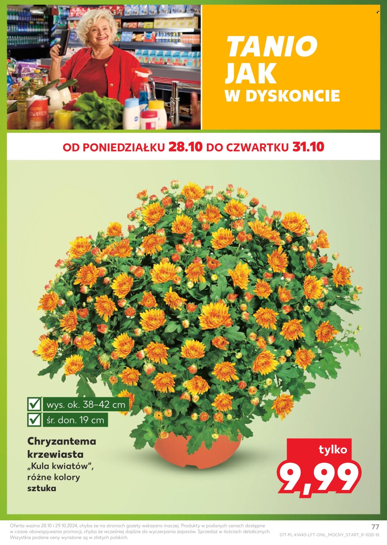 Gazetka Kaufland - 24.10.2024 - 29.10.2024. Strona 77
