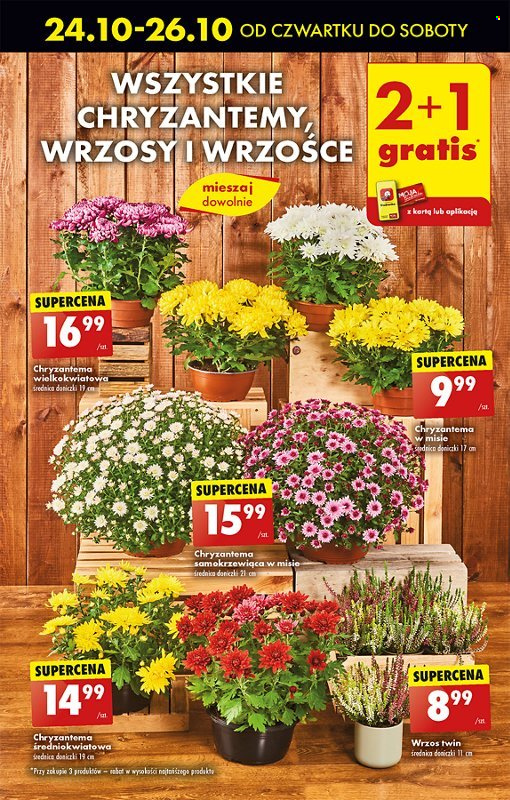 Gazetka Biedronka - 24.10.2024 - 30.10.2024. Strona 17