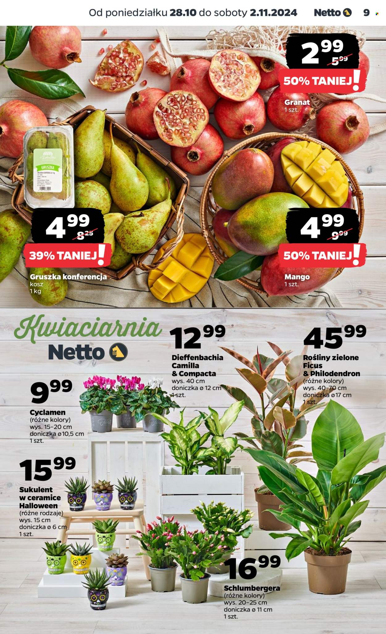 Gazetka Netto - 28.10.2024 - 2.11.2024. Strona 9