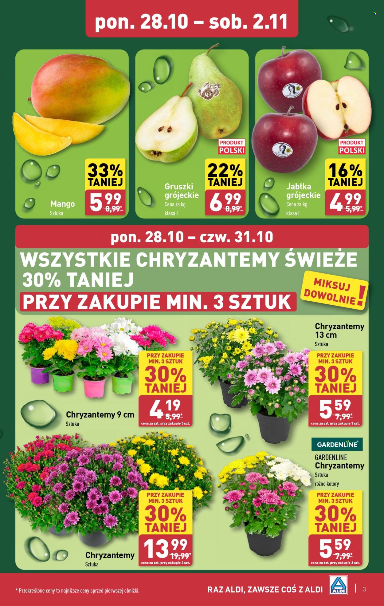Gazetka ALDI - 28.10.2024 - 2.11.2024. Strona 3