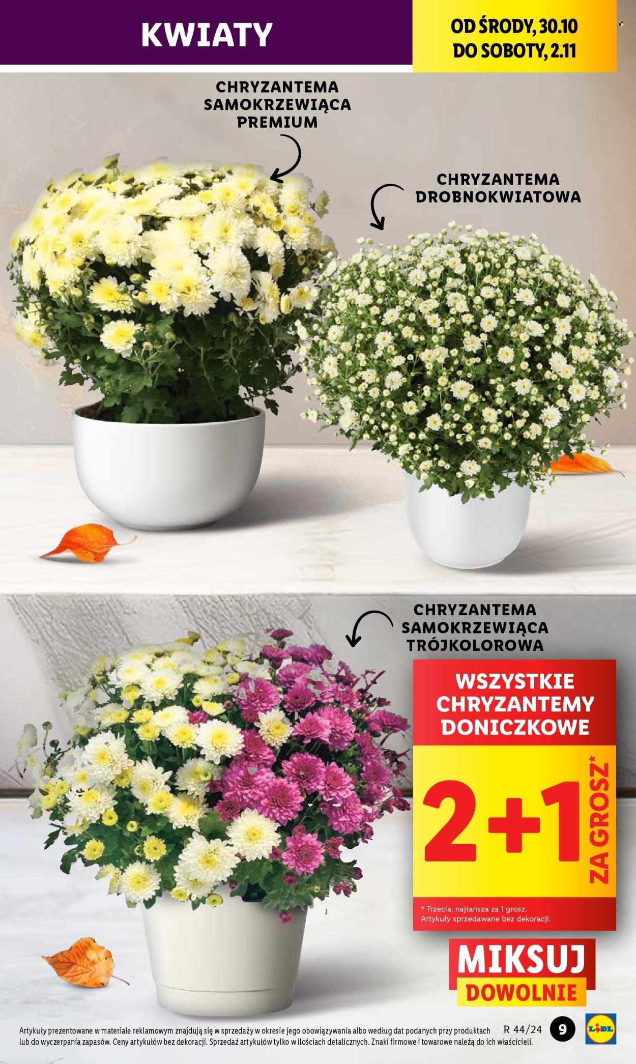 Gazetka Lidl - 30.10.2024 - 2.11.2024. Strona 9